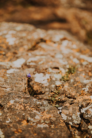 FK2A0159